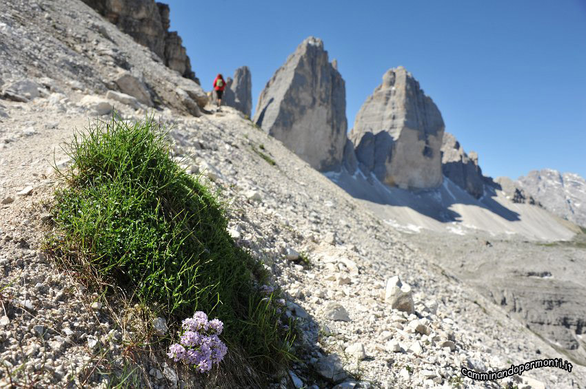 116 Tornando alla Forcella di Lavaredo.JPG